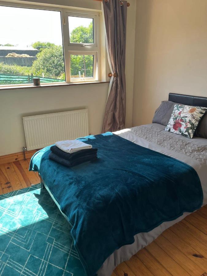 Privatunterkunft Graiguenamanagh Homestay
