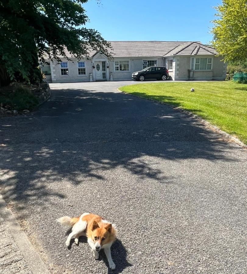 Graiguenamanagh Homestay * Graiguenamanagh